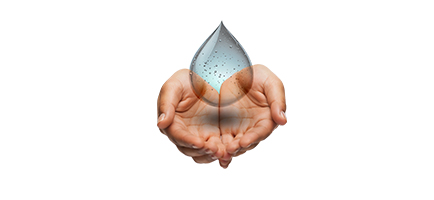 Rain Beaver Website